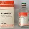 . Buy Nembutal Pentobarbital